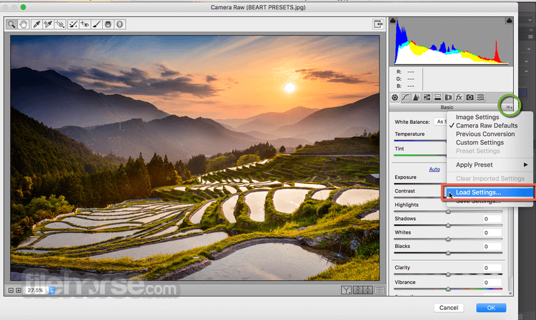 Adobe camera raw 12.4 download